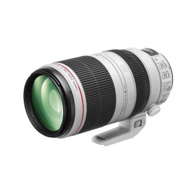 Canon EF 100-400mm f/4.5-5.6L IS II USM